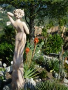 Decisions in Relationships: To Settle or Not To Settle?