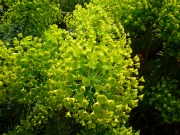 Life Is Like A Boomerang