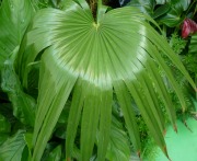 Use NLP to Change Your Thinking