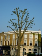 Life Coaching Differs to Chatting With Friends & Family