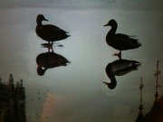 Women Experience Confidence Crisis at 40 